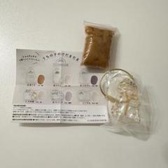 【正規品】うちの子けだまだま 茶トラ