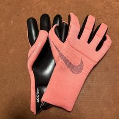 【日本未発売】ナイキGKグローブ　ヴェイパーダイナミックフィット9号