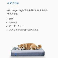 【専用】美品　guguドギー 犬用ベッド ミディアム (Mサイズ) グーグー ドギー ペットベッド M サイズ | Costco Japan