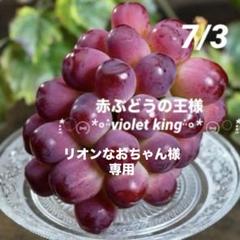 13*:ஐ赤ぶどうの王様！濃厚な甘さ*:ஐぶどう・苗木