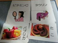 「食品と栄養素③」フラッシュカード15枚+表紙