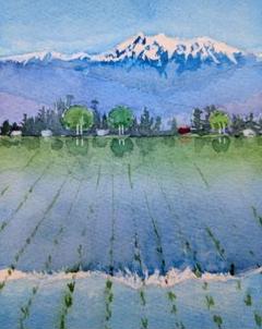 常念岳と《 安曇野 鏡面 水田 》 水彩画 風景画 原画 - メルカリ