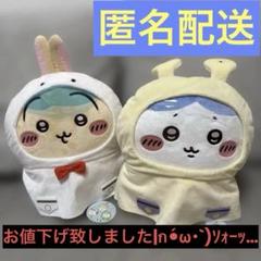 ちいかわ 雨の日 BIGぬいぐるみ うさぎ&ハチワレ