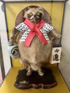 剥製】値下げしました。たぬき。商売繁盛！！縁起物。値下げ可！