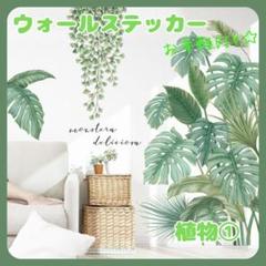 ウォールステッカー植物１壁紙シールおしゃれ北欧風部屋飾りDIYインテイリア人気