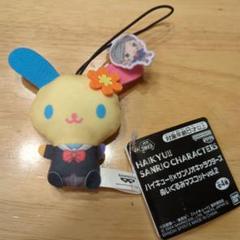 ハイキュー　サンリオキャラクターズ ぬいぐるみマスコット
