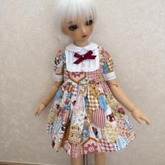 ディーラー様製 tinyfox アウトフィット MDD ドール服 1/4サイズ