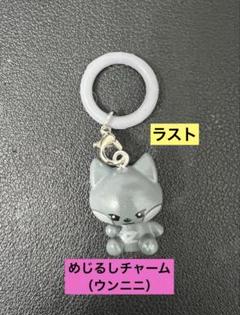 ZB1キムジウン ウンニニ ホルダー PVC ステッカー アクリル タグ セット zb1 zeroni PVCフォトホルダー ウンニニ キムジウン - メルカリ