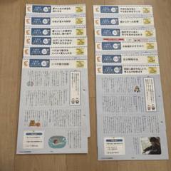 七田式子育て字 年中くまコース2024年4月〜2025年3月