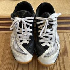 Mizuno ローカットシューズ 黒/白