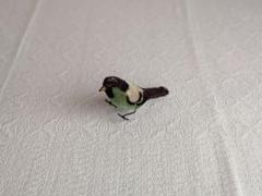 misen2014さま】antique bird ❀ ゼンマイ仕掛けの小鳥さん