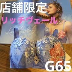 サルート76G リッチベール　Salute Rich Veil Bra 65F サルート76G リッチベール Salute Rich Veil Bra 65F - メルカリ