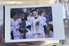千葉ロッテマリーンズ シークレット チェキ 藤原恭大