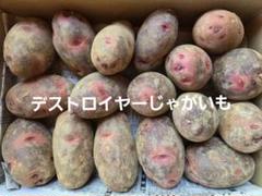 ぷてくん！長崎県産デストロイヤーML20㎏ 農家直送！デストロイヤーじゃがいもSM 20㎏ - メルカリ