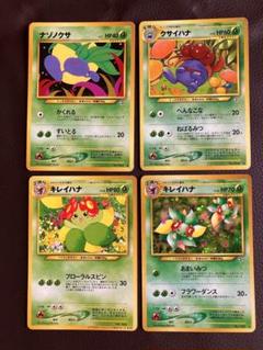 2025年最新】Yahoo!オークション -ポケモンカード キレイハナ