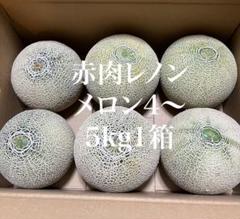 【熊本県産】レノンメロン 赤肉 メロン約4~5kg 一箱 家庭用 規格外品のサムネイル