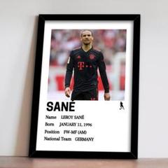 138-Leroy Sane レロイ・サネ　A4額装付き　ワールドカップのサムネイル