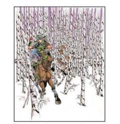 ジョジョの奇妙な冒険Part7複製原画スティール.ボール.ラン ジョジョ展 複製原画 ジョジョの奇妙な冒険 part7 スティール
