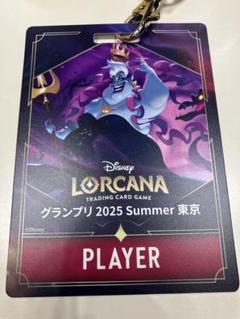 ディズニー ロルカナ 超レア マレフィセント 紫 ピンバッジ 台紙付き ディズニー ロルカナ マレフィセント 6枚 - メルカリ