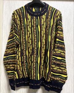 COOGI クージー 3Dニット カラフル セーター 柄 薄手 プル