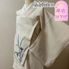 優貴色紙文 金糸 クリーム色 菊 菖蒲 蔦 六通 正絹 フォーマルな袋帯 優貴色紙文 金糸 クリーム色 菊 菖蒲 蔦 六通 正絹 フォーマルな袋帯