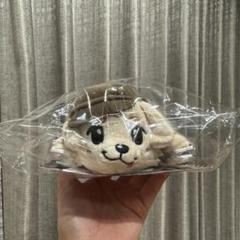 【岩田剛典　ぬいぐるみキーホルダー、クリアケース　ロッキーセット】未開封 岩田剛典 ぬいぐるみキーホルダー、クリアケース ロッキーセット