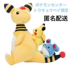ポケモン ポケモン谷のぬいぐるみ ピカチュウ ＆ マリル 【未開封】 ぬいぐるみ デンリュウとピカチュウとマリル ポケモンセンター