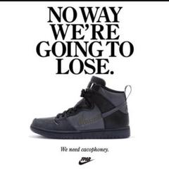 NIKE SB DUNK HIGH PRO QS FPAR 西山徹人 WTAPS