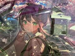 ホロライブ 星街すいせい スリーブ プレイマット セット｜Yahoo