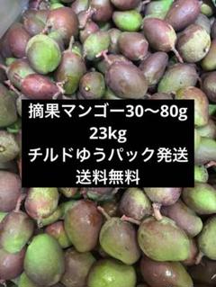 摘果マンゴー、青マンゴー16kg箱込み 青マンゴー（摘果マンゴーXoài bao tử）3キロ 40g〜80g - メルカリ