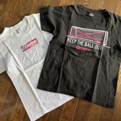 セレッソ　オフィシャルグッズ　Tシャツ２枚