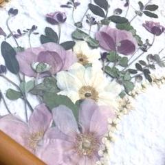 押し花のアート作品　和紙 m78002262991_1.jpg?1724840493