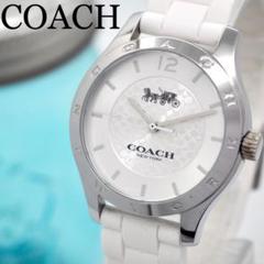 coach ホワイトシェル文字盤 楽天市場】シェル（ブランドコーチ）（レディース腕時計｜腕時計