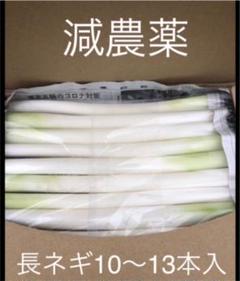 長ネギの中古 未使用品 メルカリ