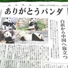 紀伊民報連載　ありがとうパンダ 紀伊民報連載ありがとうパンダ