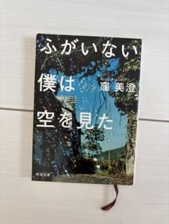 ふがいない僕は空を見た