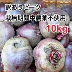 ビーツ 栽培期間中農薬不使用　化学肥料不使用　10キロ 訳ありビーツ10kg(農薬：栽培期間中不使用)兵庫県丹波市産