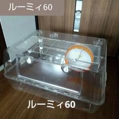 2025年最新】ハムスター ルーミィ 60の人気アイテム - メルカリ