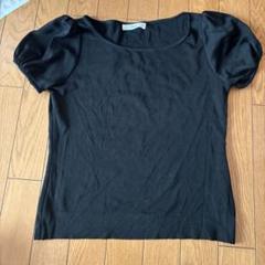 Renéルネ　刺繍入りピンク サマーニット半袖　34size 新品未使用 Renéルネ 刺繍入りピンク サマーニット半袖 34size 新品未使用