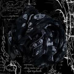 ALEXANDER McQUEEN スカル柄 ストール ALEXANDER MCQUEEN スカルスカーフ