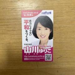 衆議院議員　山川ゆりこ