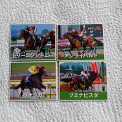 競走馬 トレーディングカードセット の裏がマグネット