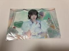 iLiFE! 推しT あいすTDCガラポン XL iLiFE! 推しT あいすTDCガラポン