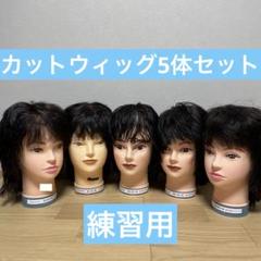 国家試験用カットウィッグ 3体 国家試験用カットウィッグ 3体セット