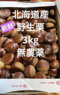 再再販！ 栗 大粒2L～特大3Lサイズ2.7k 取り扱いの難しい無燻蒸で熟成させ 果物