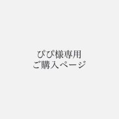 ぴぴ様　DXTEEN Level Up アルバム　A ver