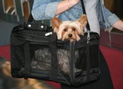 ★即決‼ Sherpa 犬猫小動物用ペットキャリアーBag 米国航空会社正式認可
