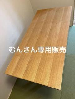 アクタス（ACTUS) テールブルポトス