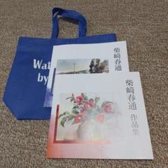 柴崎春道 2006 作品集