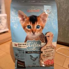 LEONARDO 　Kitten GF 2kg×2ドライフード LEONARDO Kitten GF 2kg×2ドライフード LEONARDO Kitten GF 2kg